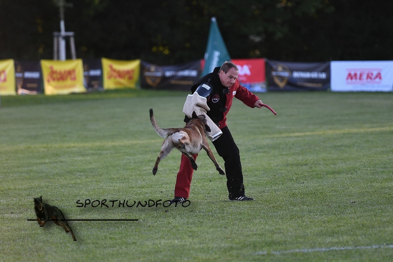 Impressionen 478.jpg